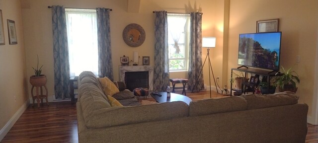 living room with a fireplace, dark hardwood / wood-style floors, and a healthy amount of sunlight