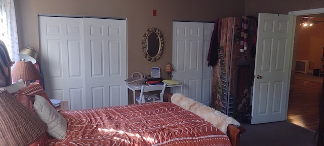 bedroom with hardwood / wood-style flooring and two closets