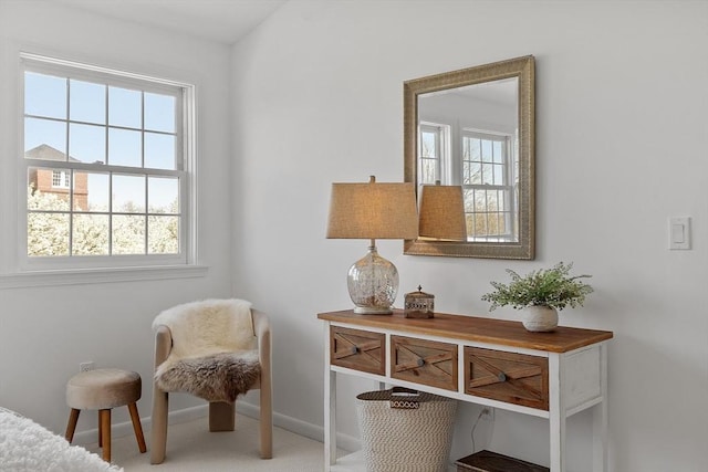 interior space featuring plenty of natural light and baseboards