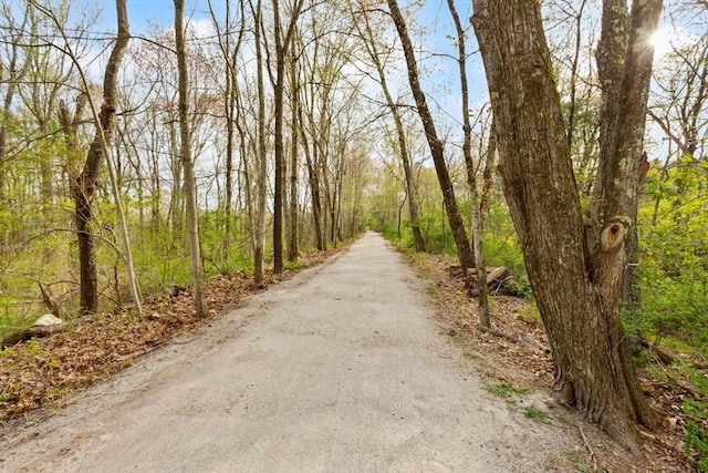 view of road with a wooded view