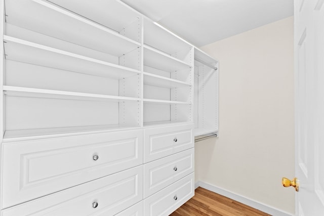 spacious closet featuring light hardwood / wood-style floors