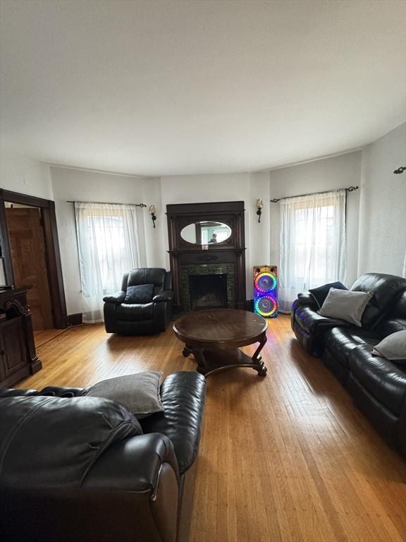 living room with light wood-type flooring and a wealth of natural light