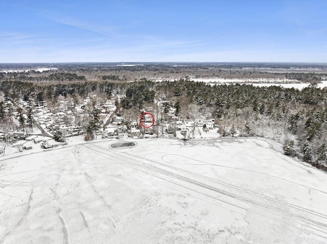 view of snowy aerial view