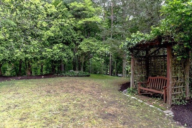 118 Dudley Ln, Milton, MA 02186 - view of yard