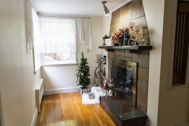 118 Dudley Ln, Milton, MA 02186 - living room featuring baseboards, wood-type flooring, and a fireplace