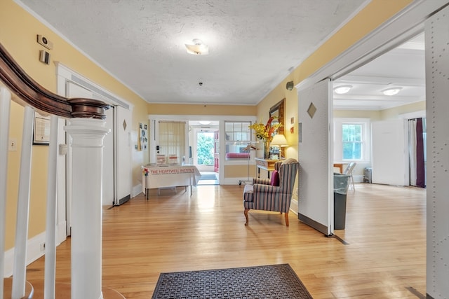 interior space with crown molding, light hardwood / wood-style flooring, and a textured ceiling