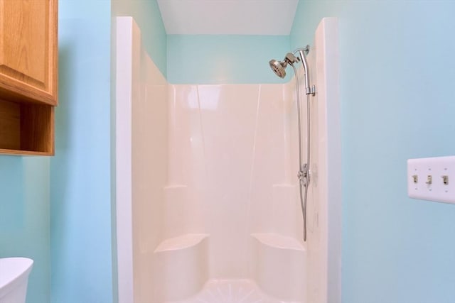 bathroom with a shower and toilet