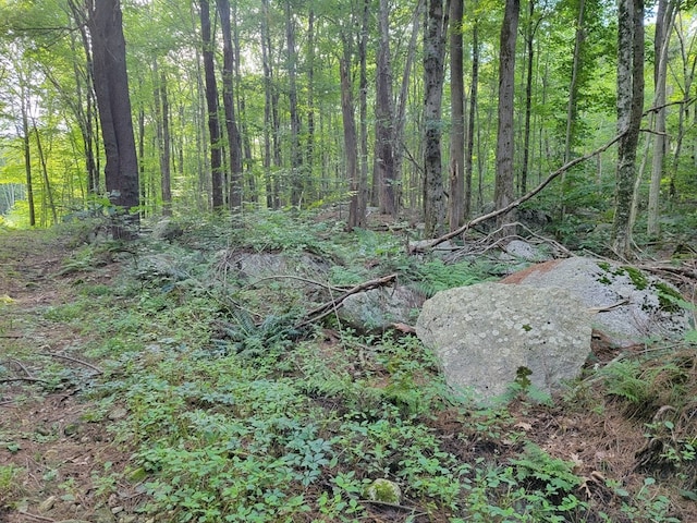 Listing photo 2 for LOT12, 36 Lyman Barnes Rd, Brimfield MA 01010