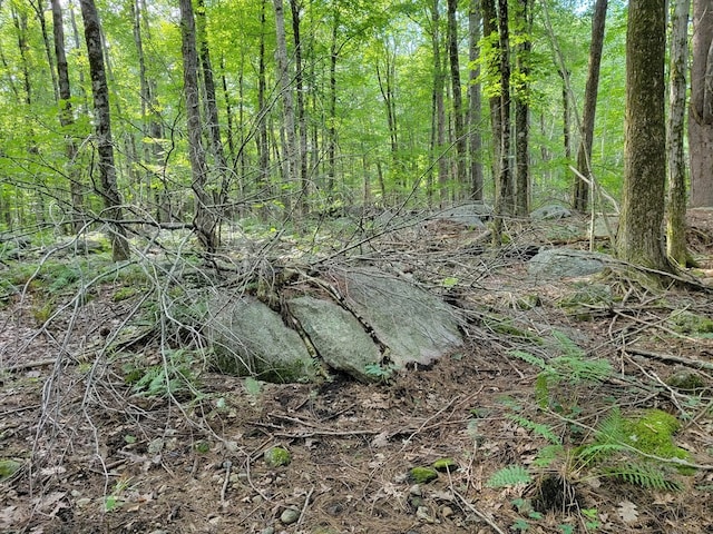 Listing photo 3 for LOT12, 36 Lyman Barnes Rd, Brimfield MA 01010