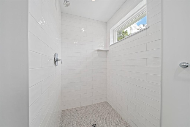 6 Raintree Rd, Dennis, MA 02639 - full bathroom with tiled shower