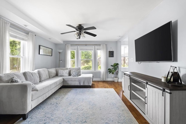 74 Glendale Rd, Braintree, MA 02184 - living room featuring healthy amount of natural light, a ceiling fan, and dark wood-type flooring