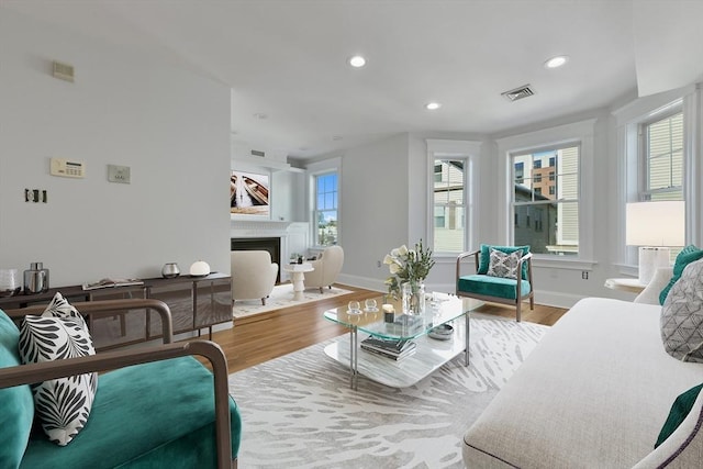 living room featuring wood-type flooring and a wealth of natural light