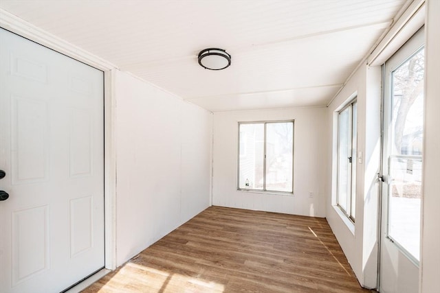 empty room featuring a healthy amount of sunlight and wood finished floors