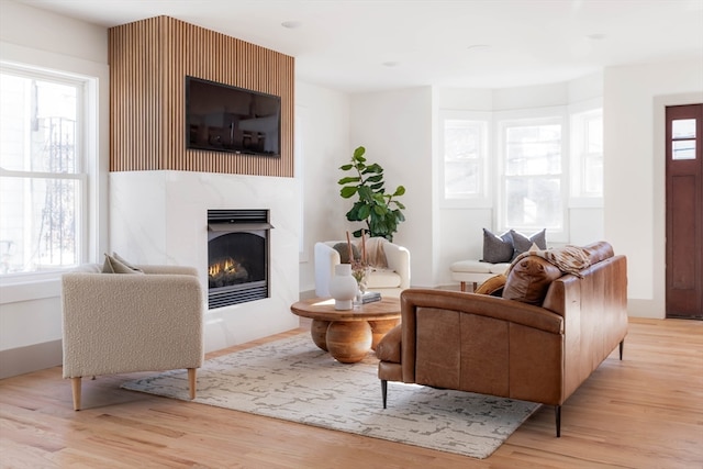 living room featuring light hardwood / wood-style flooring