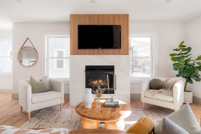 living room with light wood-type flooring and a fireplace