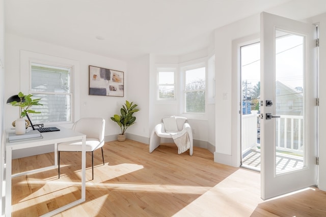 office area featuring hardwood / wood-style floors