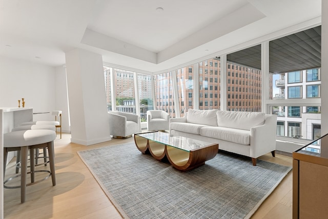 living room with light hardwood / wood-style floors