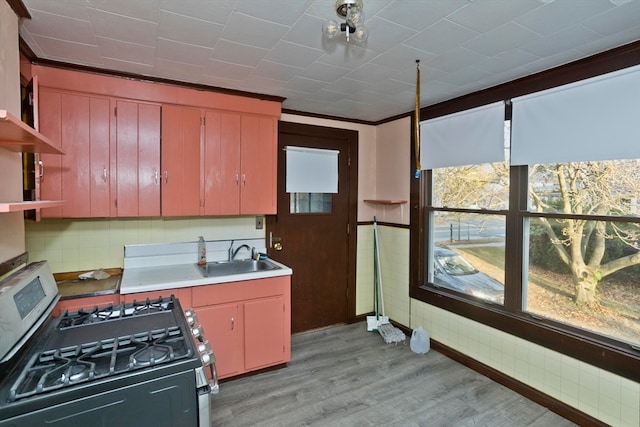 kitchen with gas stove, sink, ornamental molding, and light wood-type flooring