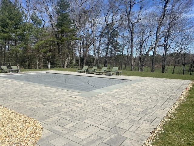 view of swimming pool with a patio area