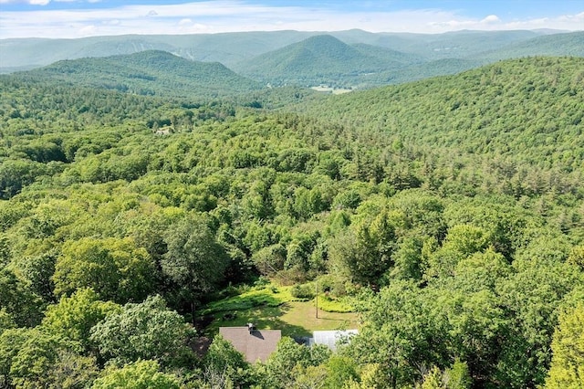 421 Legate Hill Rd, Charlemont, MA 01339 - view of property location with a heavily wooded area and mountains