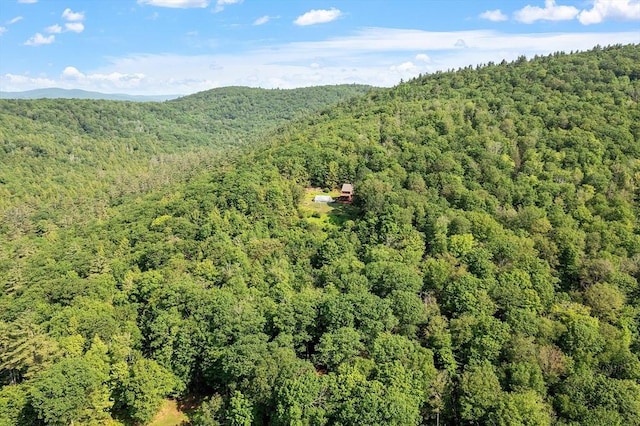 421 Legate Hill Rd, Charlemont, MA 01339 - view of property location featuring a forest