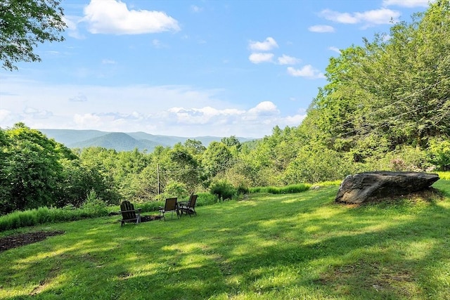 421 Legate Hill Rd, Charlemont, MA 01339 - view of grassy yard with a mountain view and a view of trees