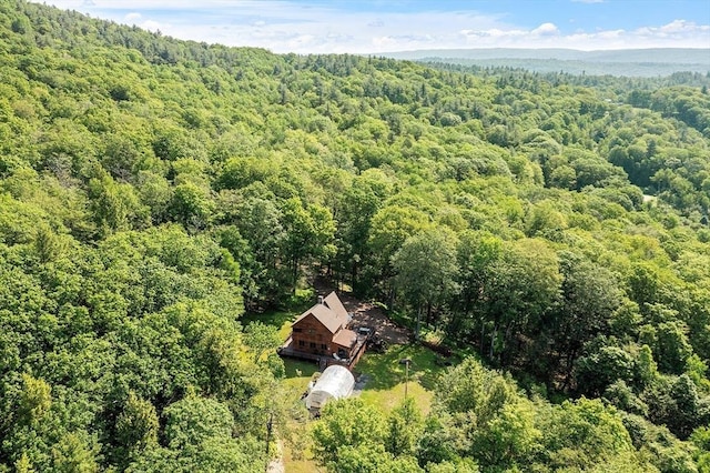 421 Legate Hill Rd, Charlemont, MA 01339 - view from above of property with a heavily wooded area
