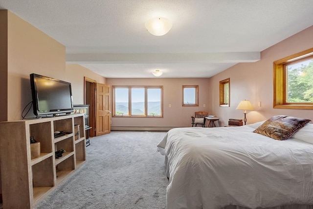 421 Legate Hill Rd, Charlemont, MA 01339 - bedroom with multiple windows, light colored carpet, a baseboard radiator, and a textured ceiling