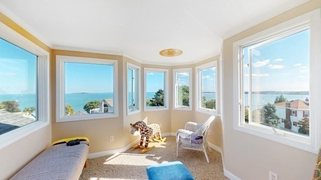 sunroom with a water view