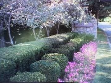 121 Tall Oaks Dr Unit F, Weymouth, MA 02190 - view of yard