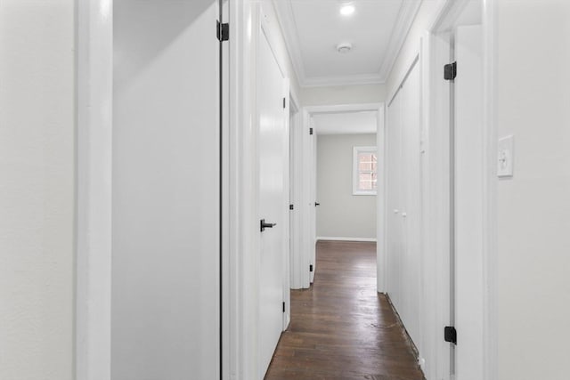 corridor featuring crown molding and dark hardwood / wood-style floors