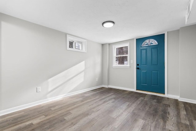 foyer entrance with wood-type flooring