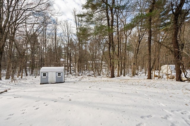 yard covered in snow featuring a shed