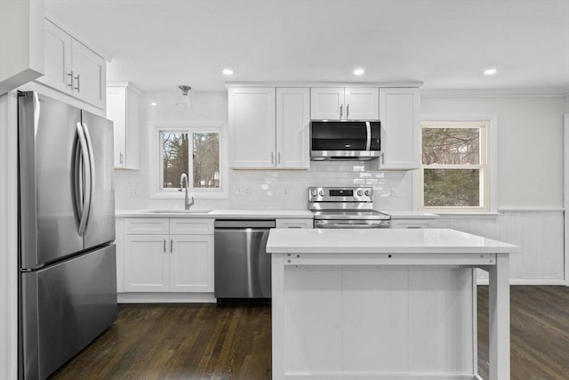 kitchen with white cabinetry, stainless steel appliances, dark hardwood / wood-style flooring, and sink