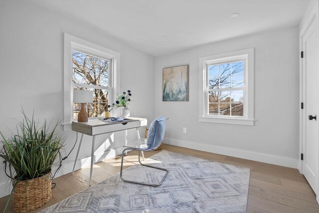 office space featuring baseboards, plenty of natural light, and wood finished floors