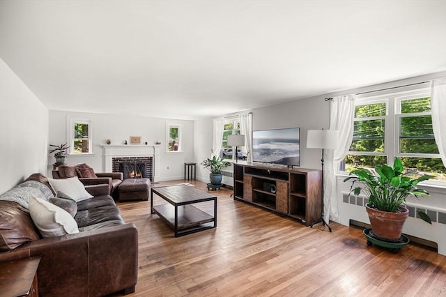 13 Clarks Rd, Amesbury, MA 01913 - living room featuring light wood-type flooring, a fireplace, and radiator heating unit