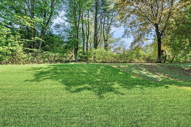 13 Clarks Rd, Amesbury, MA 01913 - view of green lawn