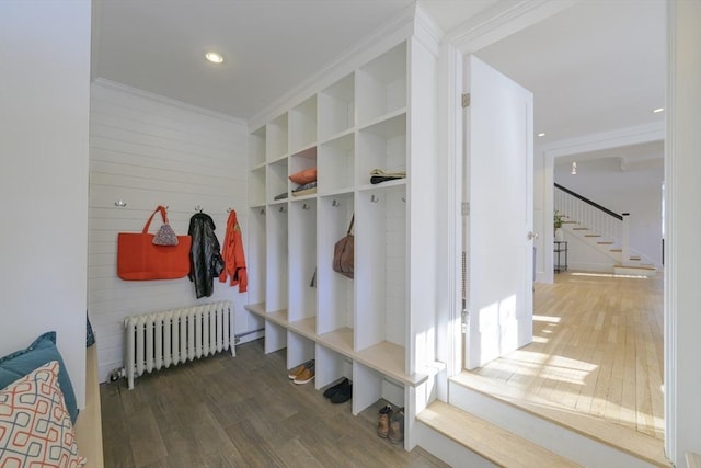 mudroom featuring crown molding, radiator, and dark hardwood / wood-style flooring