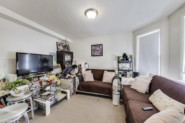 living room featuring light carpet