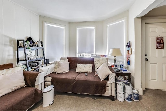 living area featuring carpet flooring