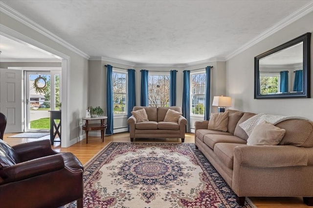 living room featuring a baseboard radiator, wood finished floors, and ornamental molding