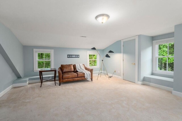 51 Summer St, Weston, MA 02493 - sitting room with carpet flooring, baseboards, and healthy amount of natural light