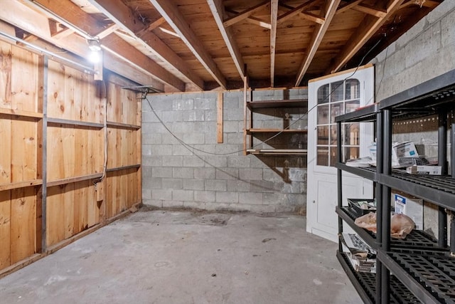 unfinished below grade area featuring concrete block wall