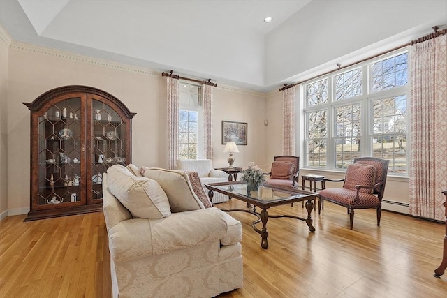 living area with a high ceiling, plenty of natural light, and light wood finished floors