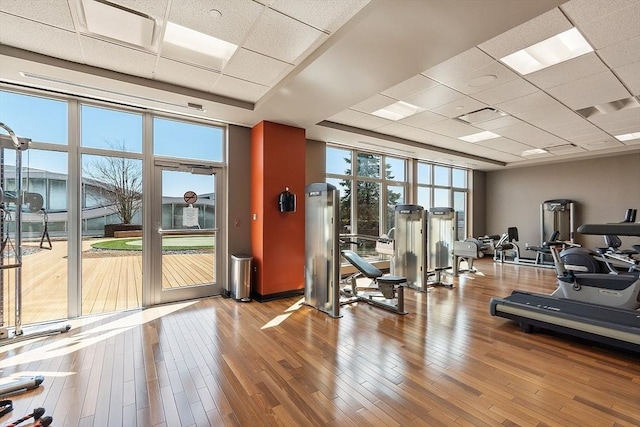 exercise room featuring a wealth of natural light, a drop ceiling, a wall of windows, and wood finished floors