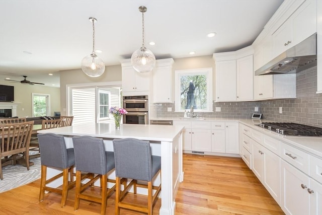 70 Rockland St, Natick, MA 01760 - kitchen with a sink, stainless steel appliances, under cabinet range hood, and a wealth of natural light