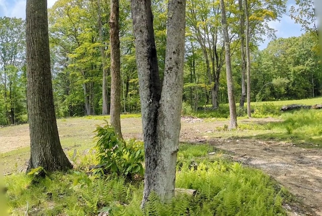45 Old Colony Rd, Princeton, MA 01541