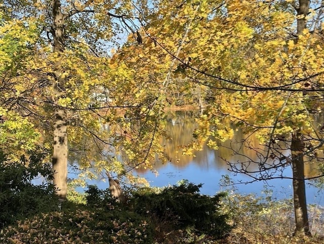 view of water feature