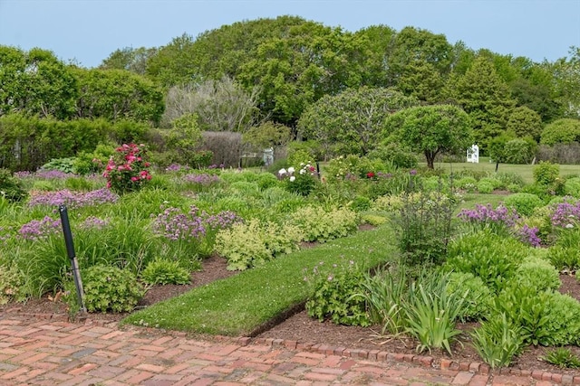 17 Indian Trl, Barnstable, MA 02655 - view of yard