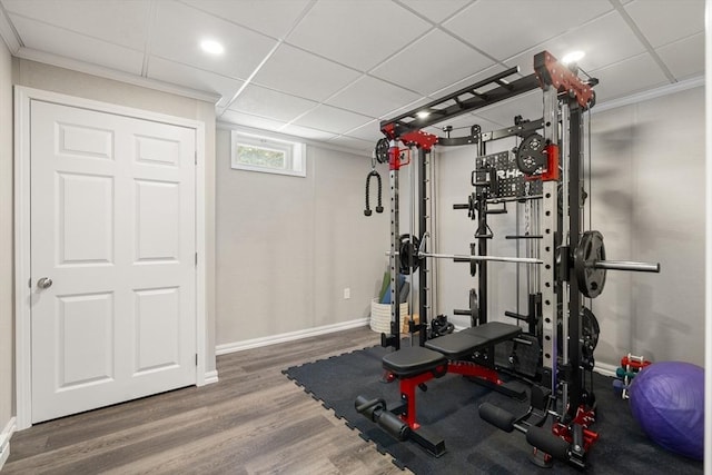 exercise area featuring hardwood / wood-style flooring and a drop ceiling